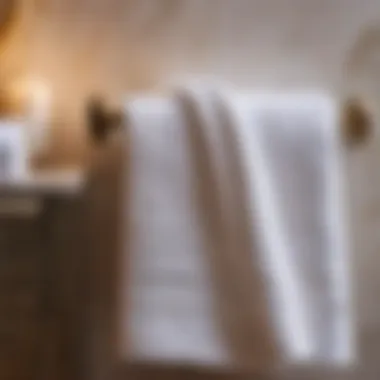 Sumptuously Soft Texture of Bathroom Hand Towel Soft and Absorbent Texture of Plush Bathroom Hand Towel