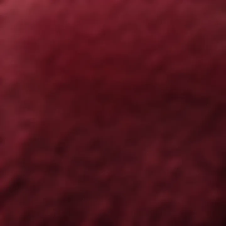 Close-Up of Plush Burgundy Bath Rug Texture