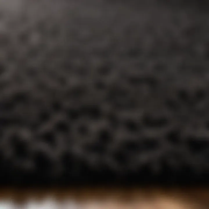 Texture Detail Close-up Close-up of the plush texture of a black fuzzy bathroom rug