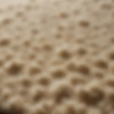 Plush Texture Detail of Mohawk Home Memory Foam Bath Rug Close-up of Plush Texture of Mohawk Home Memory Foam Bath Rug