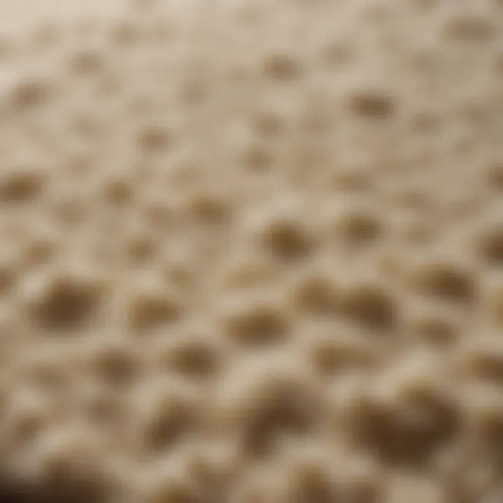 Plush Texture Detail of Mohawk Home Memory Foam Bath Rug Close-up of Plush Texture of Mohawk Home Memory Foam Bath Rug