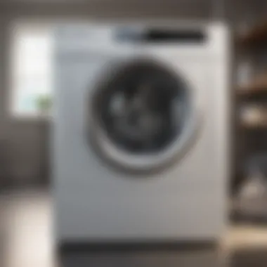 Harnessing Energy Efficiency in Portable Dryers Energy-efficient portable dryer showcasing its features