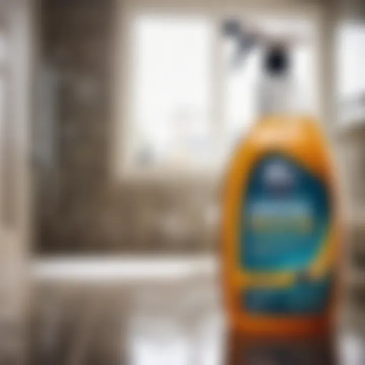 Powerful Commercial Mold Cleaner