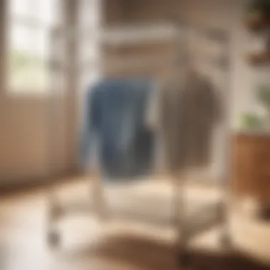 Durable Materials for Longevity Durable Materials for Long-lasting Laundry Rack