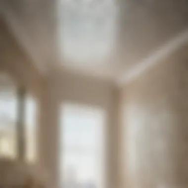 Preventative Measures for Bathroom Ceiling Mildew