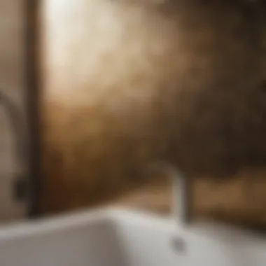 Strategies to Prevent Mold Regrowth Preventing Mold Regrowth in Bathroom