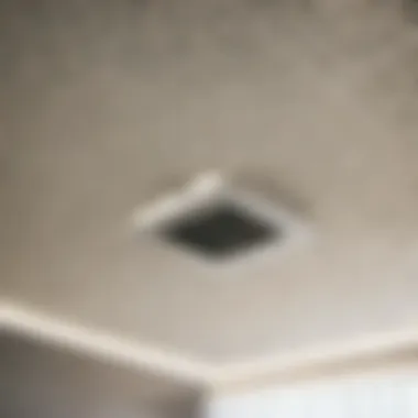 Ventilation for Mold Prevention Preventing mold through proper ventilation