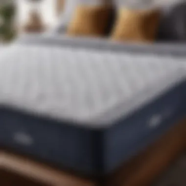 Mattress Shield Technology Protection layer for full-size mattress
