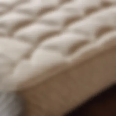 Craftsmanship Detail Close-up of high-quality stitching on quilted daybed mattress cover