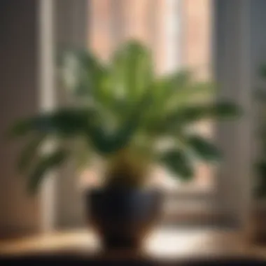 Close-up of realistic modern fake indoor plant