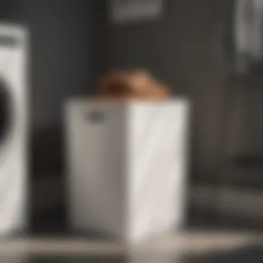 Elegant Design of Rectangular Laundry Hamper Elegant rectangular laundry hamper with lid in a modern setting