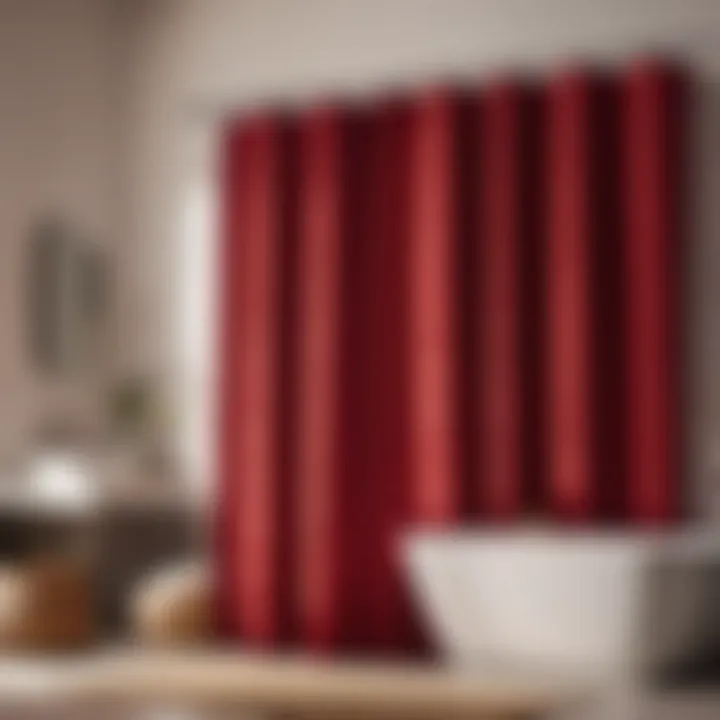 Red Shower Curtain with Elegant Design
