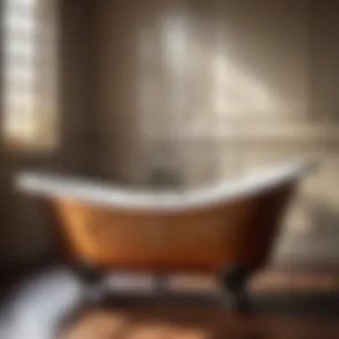 Antique Cast Iron Bathtub Refinished to Perfection