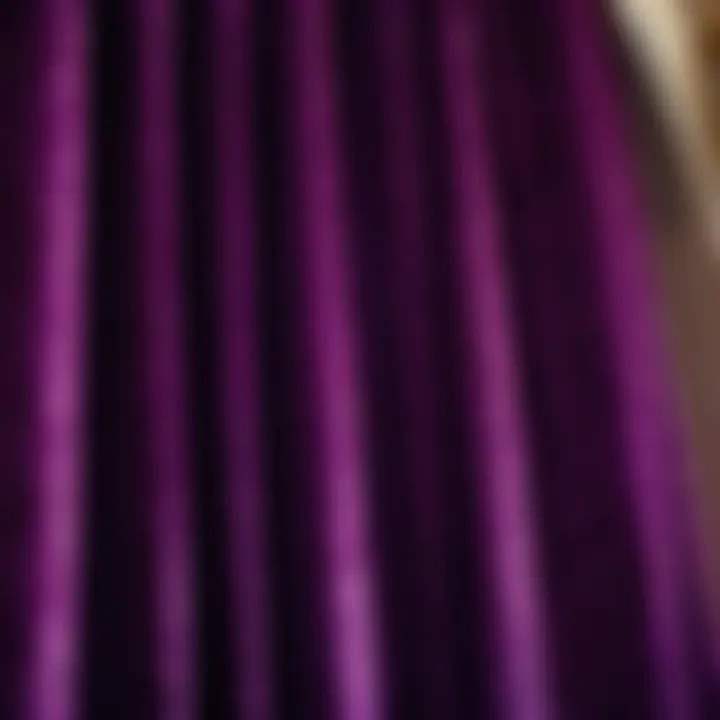 Opulent Velvet Fabric Exudes Luxury in Purple Regal Velvet Purple Shower Curtain