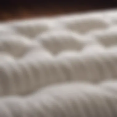 Close-up of reinforced coil system in 8-inch futon mattress