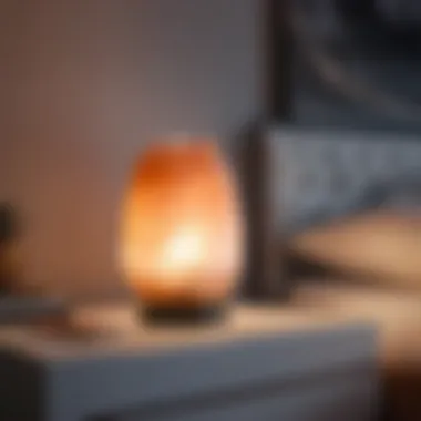 Purify the Bedroom Atmosphere Purify the Bedroom Atmosphere