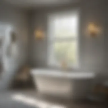 Professional bathtub reglazing equipment