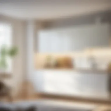 Functional Storage Solutions with Custom IKEA Cabinets