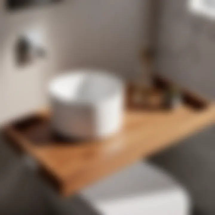 Minimalist Wooden Toilet Tray
