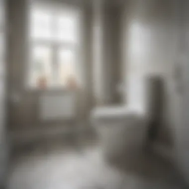 Unmatched Performance Efficiency and effectiveness of a battery-powered bathroom scrubber in action
