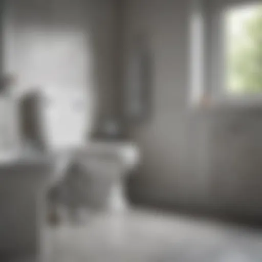 Innovative ergonomic design of a battery-powered bathroom scrubber