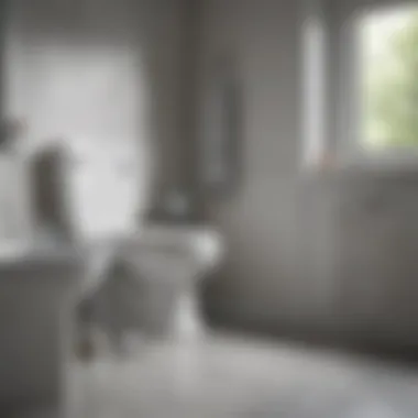 Ergonomic Design Excellence Innovative ergonomic design of a battery-powered bathroom scrubber