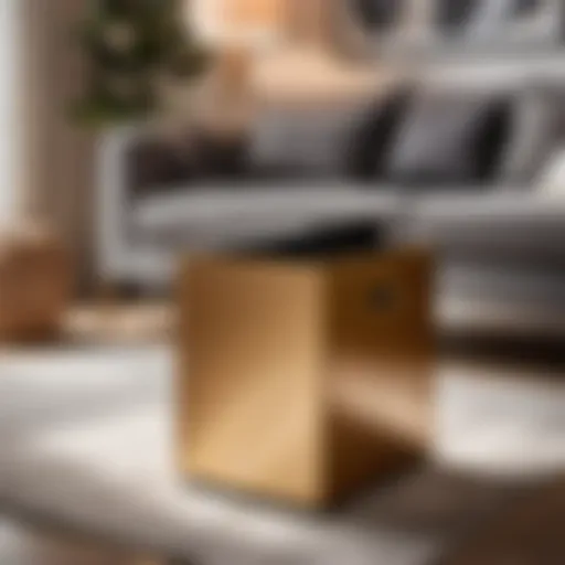 Innovative storage bin in modern living room