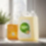 Eco-conscious Packaging Innovation