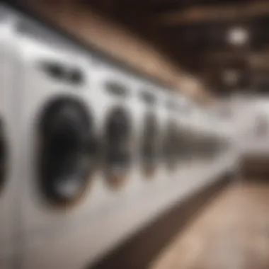 Future of Laundry Courier