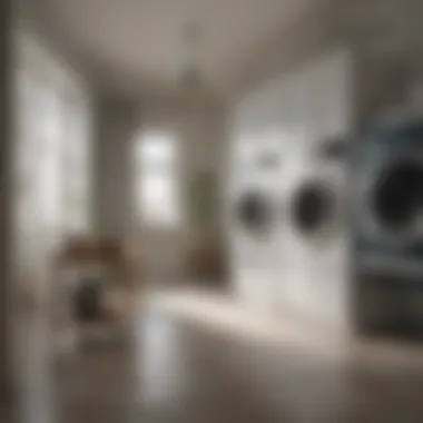 Cutting-Edge Laundry Experience