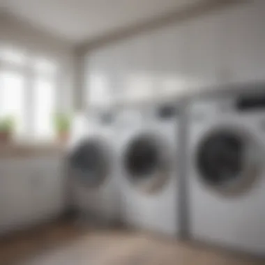 Innovative Laundry Organization Efficient Laundry Sorting System