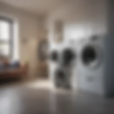Sustainable Laundry Delivery Practices