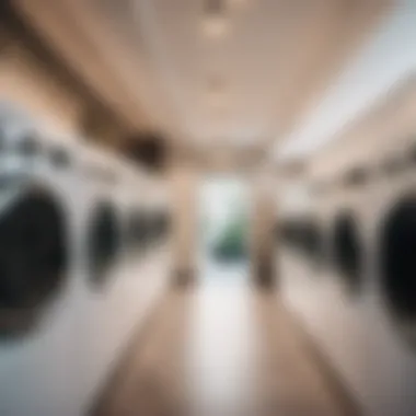 Luxury Laundry Service