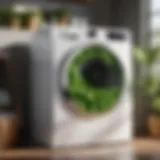 Green leaf innovative laundry product