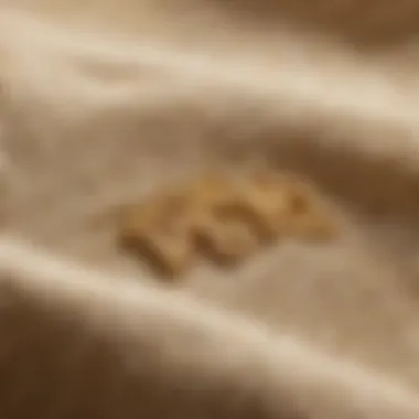 Close-up of laundry name stamp on luxurious fabric