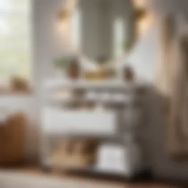Organized bathroom storage solution