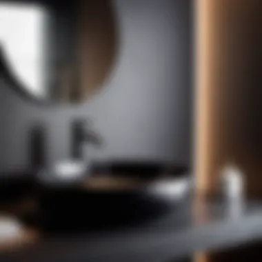Contemporary Black Elegance Sleek black round sink with modern faucet