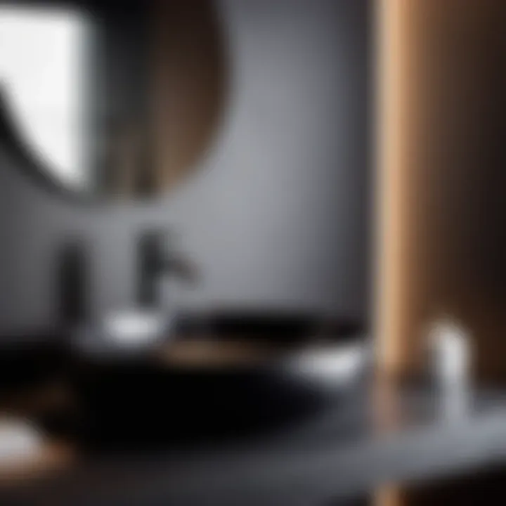 Contemporary Black Elegance Sleek black round sink with modern faucet