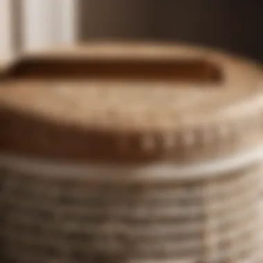 Close-up of round laundry hamper lid with stylish design