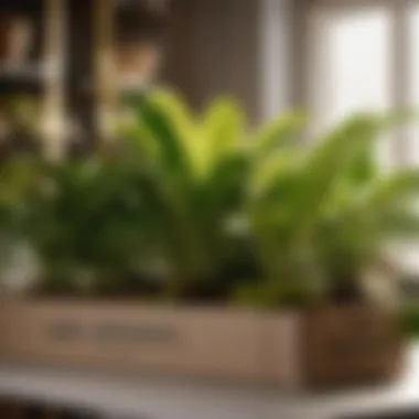 Secure Packing Techniques Packing indoor plants securely