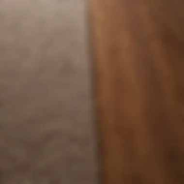 Texture Contrast of Hardwood and Carpet Close-up of hardwood texture with carpet overlay