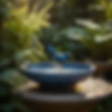 Rustic ceramic bird bath surrounded by lush greenery