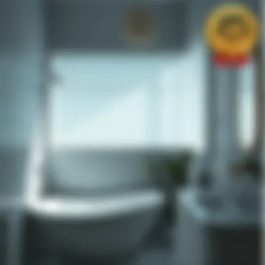 Maintenance tips illustrated for shower blinds in a bathroom setting