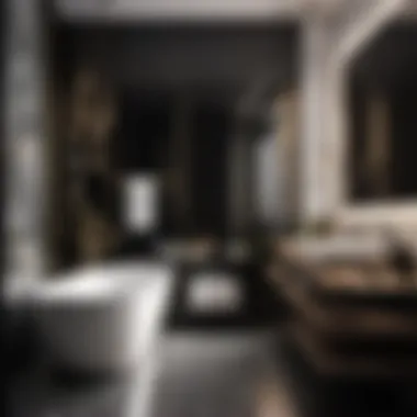 Sleek Black and White Bathroom Interior
