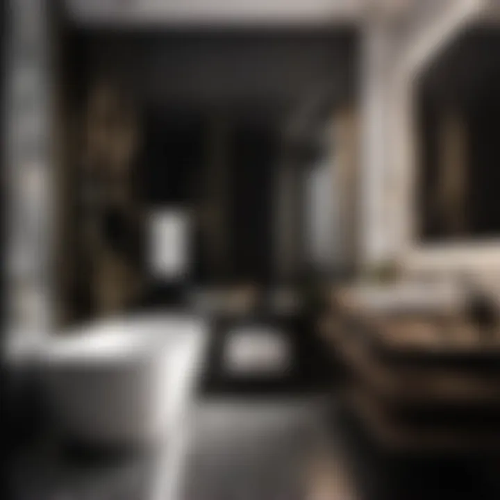 Sleek Black and White Bathroom Interior