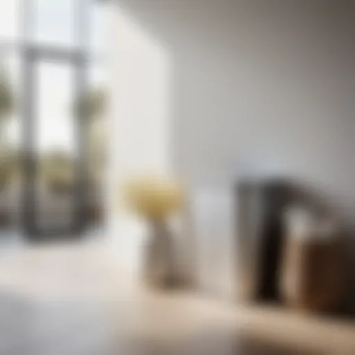 Elegant Integration in Contemporary Spaces Sleek blomus laundry bin in modern home interior