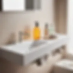 Sleek and Minimalist Under Sink Organizer