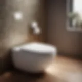 Sleek and Modern Compact Toilet Design