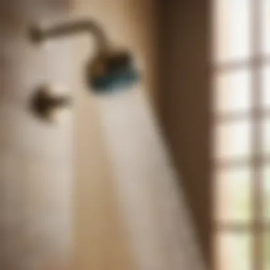 Sleek Showerhead by Price Pfister