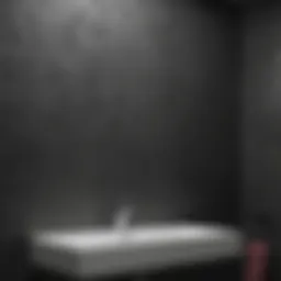 Sleek Wet Wall Panel in Charcoal Gray